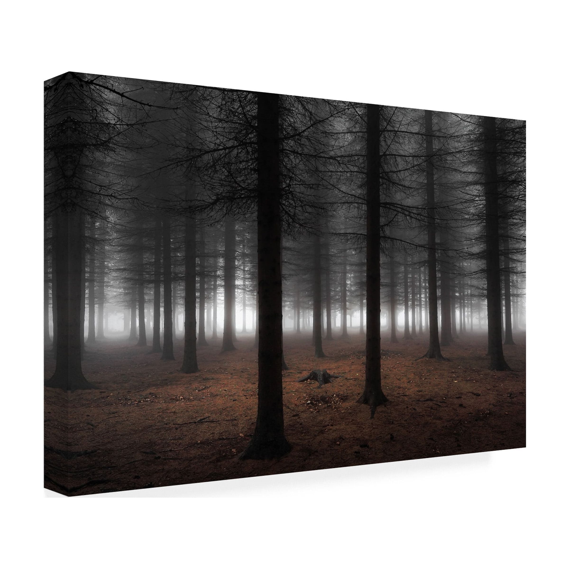 Dragisa Petrovic 'Silence' Canvas Art