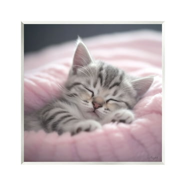 Stupell Industries Soft Kitten Tucked In Animals & Insects Painting Unframed Art Print Wall Art, 12 x 12