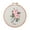 rose, variant on Blingpainting Floral Embroidery Kit for Beginners , Daisy Plant Pattern,Cross Stitch Kits Set , Including Stamped Embroidery Cloth with Embroidery Hoops, Color Threads and Tools