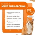 thumbnail image 5 of LIQUIDHEALTH Glucosamine Cat Joint Supplement for Feline Hip Pain & Joint Pain Relief, 2 Oz, 5 of 7