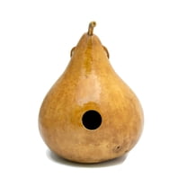 Gourd Birdhouse Natural