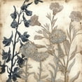 thumbnail image 2 of Meagher, Megan 15x15 Gold Ornate Wood Framed with Double Matting Museum Art Print Titled - Bloom Shadows I, 2 of 4