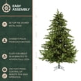 thumbnail image 5 of Fraser Hill Farm 9-Ft. Foxtail Pine Christmas Tree with Warm White LED Lights, FFFX090-5GR, 5 of 17