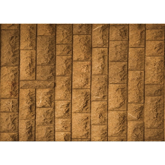 Ahgly Company Indoor Rectangle Patterned Saddle Brown Area Rugs, 2' x 5'