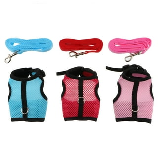 Windfall Bunny Rabbit Harness with Stretchy Leash Cute Adjustable Buckle  Breathable Mesh Vest for Kitten Small Pets Walking 