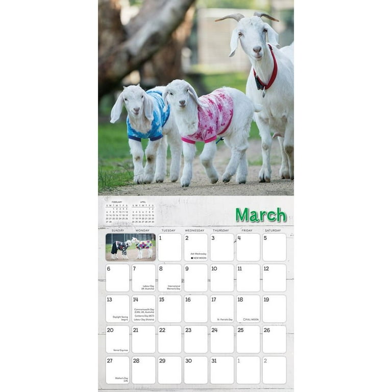 Goat Calendars 2022
