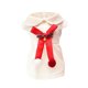 thumbnail image 3 of Vestido Navideño para Perro XWSHYW con Lazo y Estilo de Princesa, 3 of 3