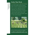 thumbnail image 5 of Traditional Medicinals Chamomile Herbal Tea Organic, 16 CT(Pack - 3), 5 of 6