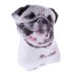 thumbnail image 3 of Dog Plush Toy Dog Shaped Pillow for Decoration Lovely Cartoon Design, 3 of 5