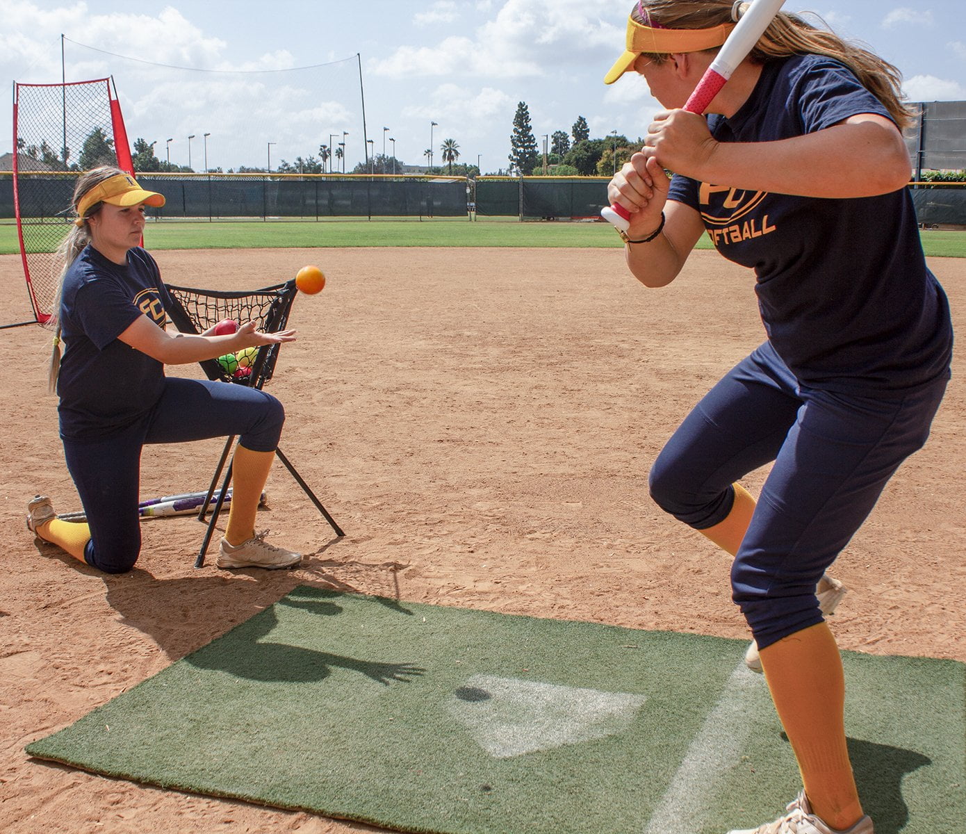 PowerNet Sweet Spot Training Bat + 3.2" Progressive Weighted Softball Training Balls for Hitting & Pitching, 9 Pack Weighted Balls & Weighted Bat, Improve Hand-Eye Coordination & Power (31" Bat)