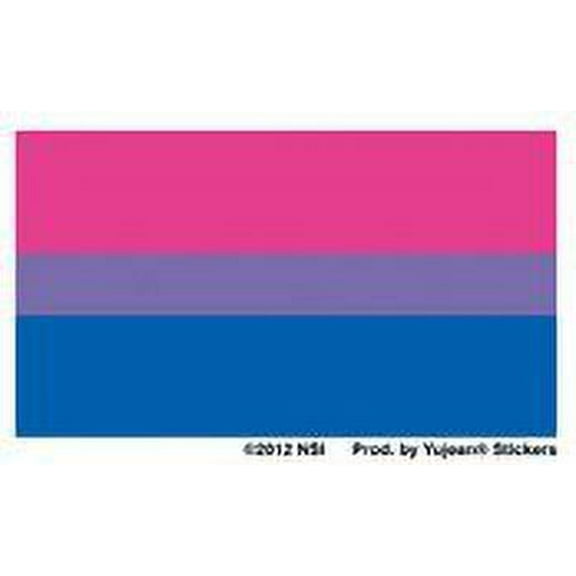 NSI - Bi Flag - Mini Sticker / Decal