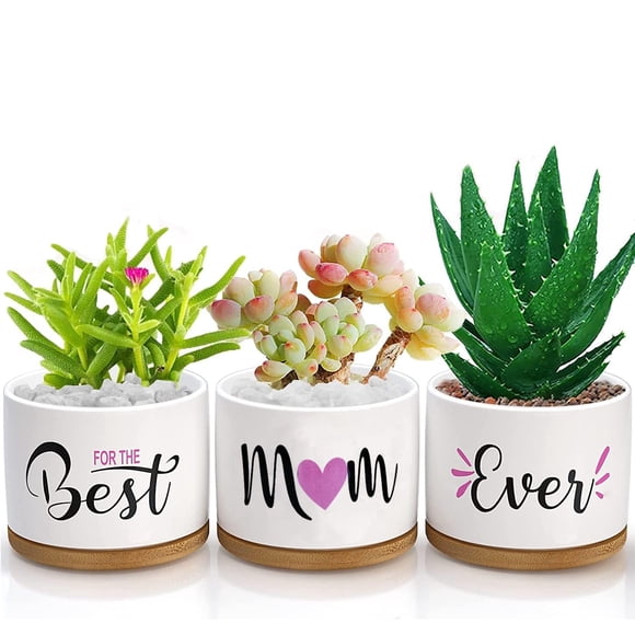 Best Mom Ever Gifts, Best Gifts for Mum from Daughter Son Kids Unique, Best Mom Ever Succulent Pots for Plants Indoor Ceramic Planter, Gift Boxed Birthday