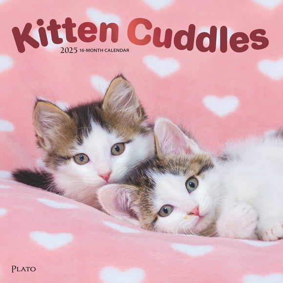 2025 Kittens Calendars Set
