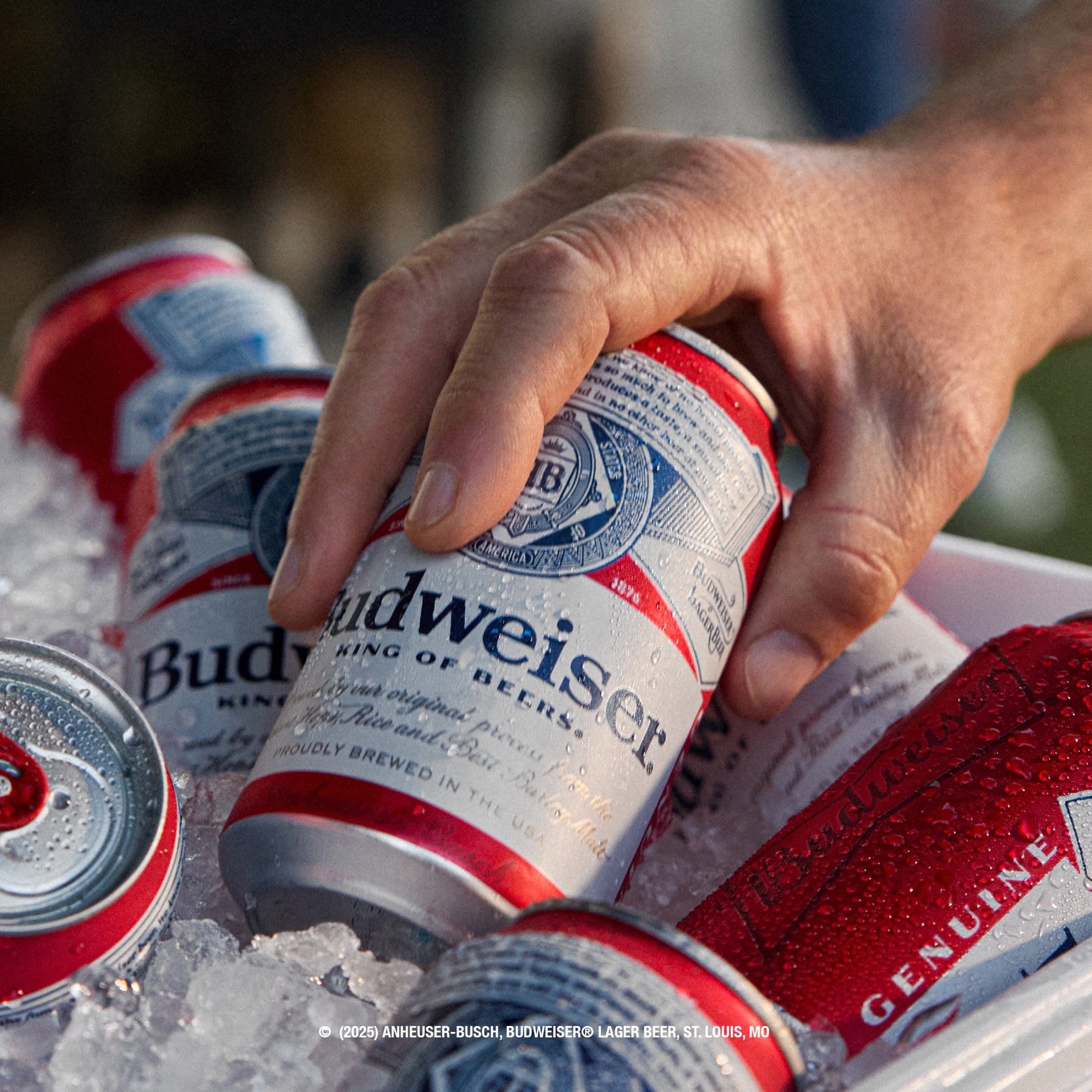 Budweiser American Lager Beer 12 pack 12 fl oz Aluminum Cans 5% ABV