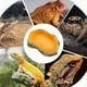 thumbnail image 2 of Reptile Water Bowl, Snake Tank Basin Dish, Feeding Station, Terrarium Decoration, 2 of 5