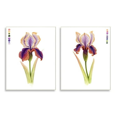 Stupell Industries Orange Purple Iris Flower with Color Key Wall Plaque by Grace Popp