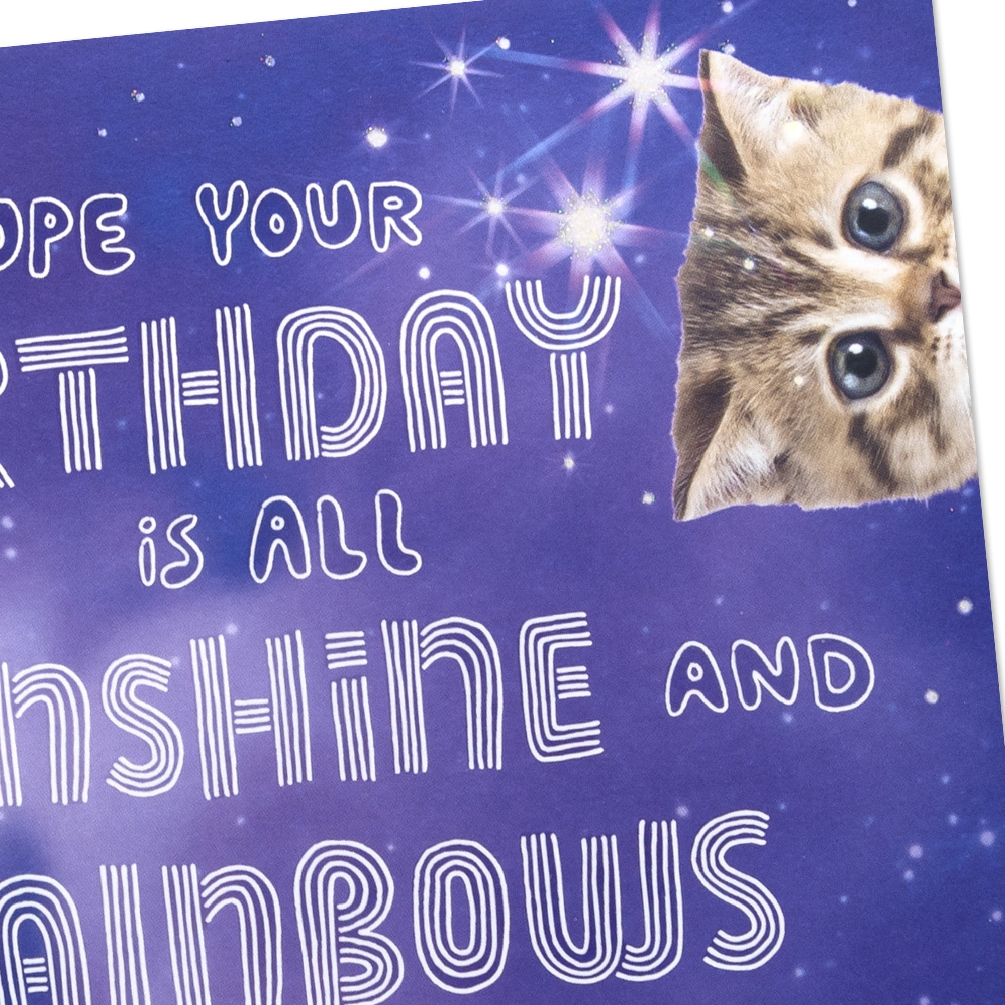 Hallmark Funny Pop-Up Birthday Card (Sunshine, Rainbows and Kittens)