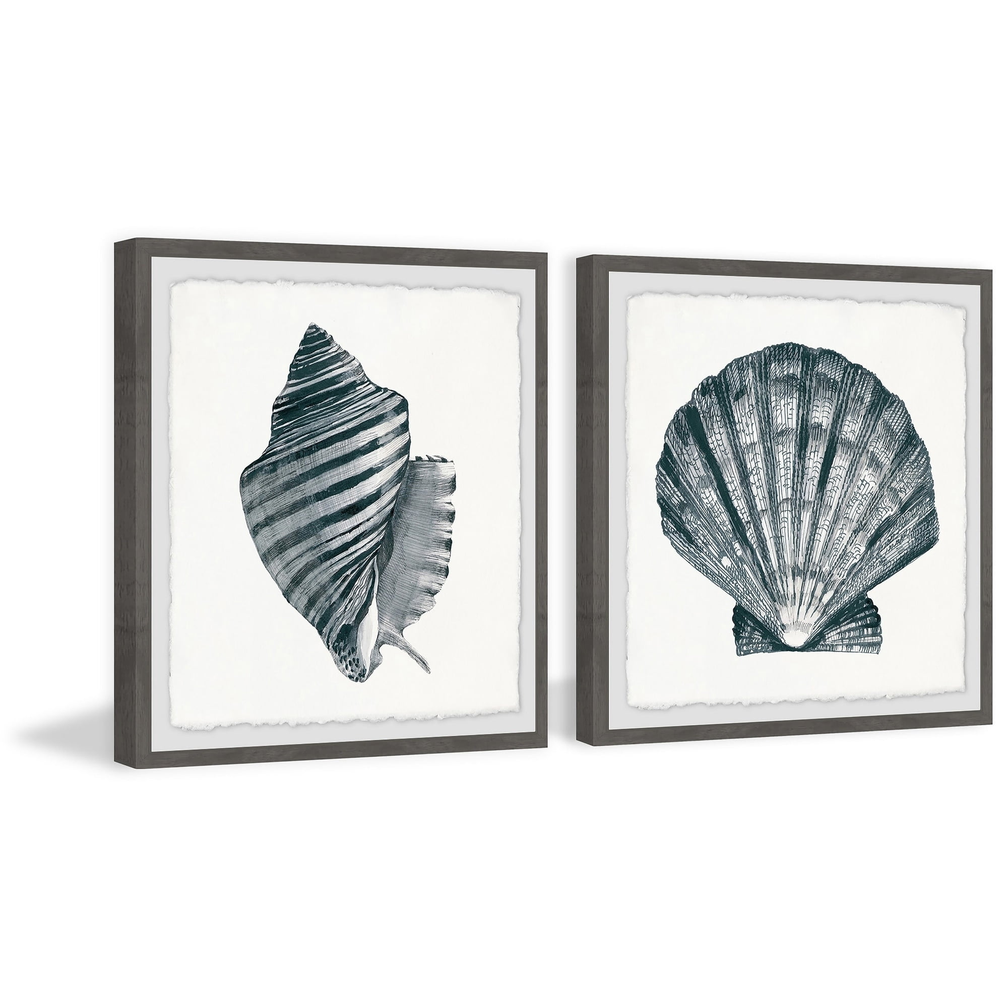 Marmont Hill Striped Queen Conch II Diptych
