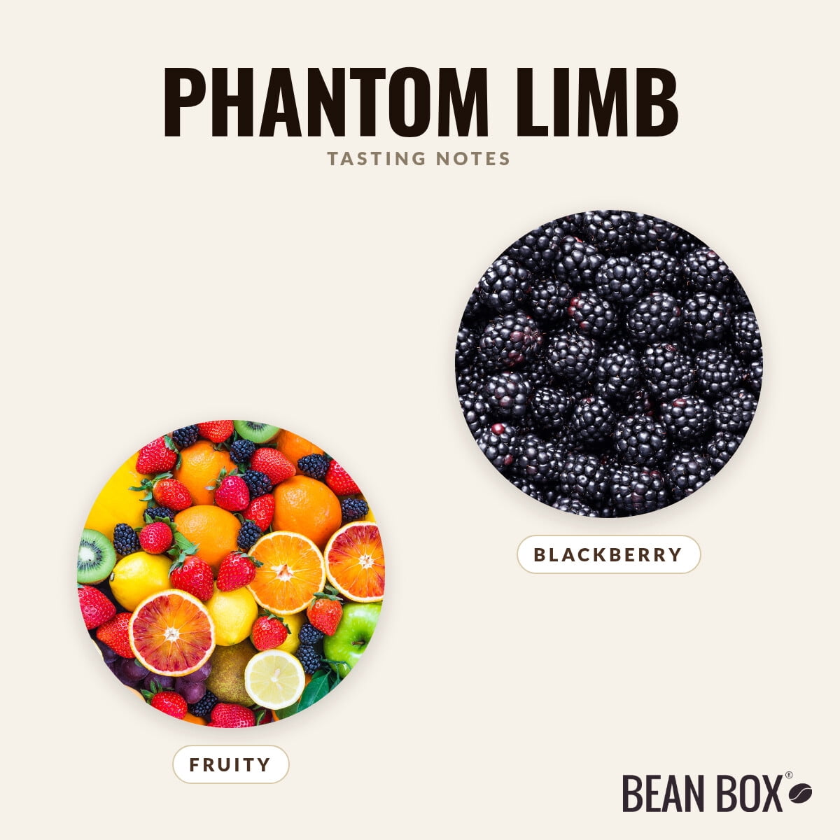 Phantom Limb - Roasted by Huckleberry Roasters - Whole Bean Coffee - 12oz Bag