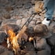 thumbnail image 2 of Charcoal Tongs, BBQ Tongs for Grill, Winter Fire, Charcoal Cherry Picker Tool, Fire Tongs, Camping Fire Poker, 2 of 5