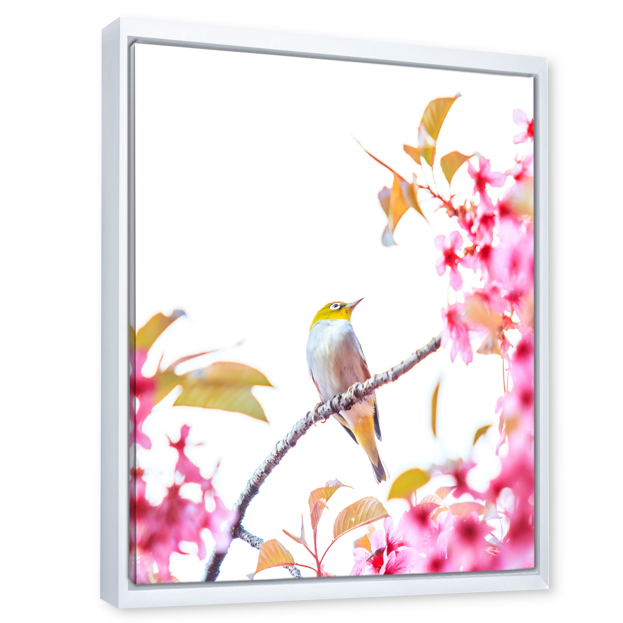 Designart 'Bird Sitting On Cherry Blossom' Traditional Framed Canvas Wall Art Print