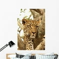 thumbnail image 1 of Leopard Tree Wall Mural Decal Sticker, Wallmonkeys Peel & Stick Vinyl Graphic (48 in H x 32 in W), 1 of 4