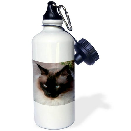 

Siamese Cat 21 oz Sports Water Bottle wb-1220-1