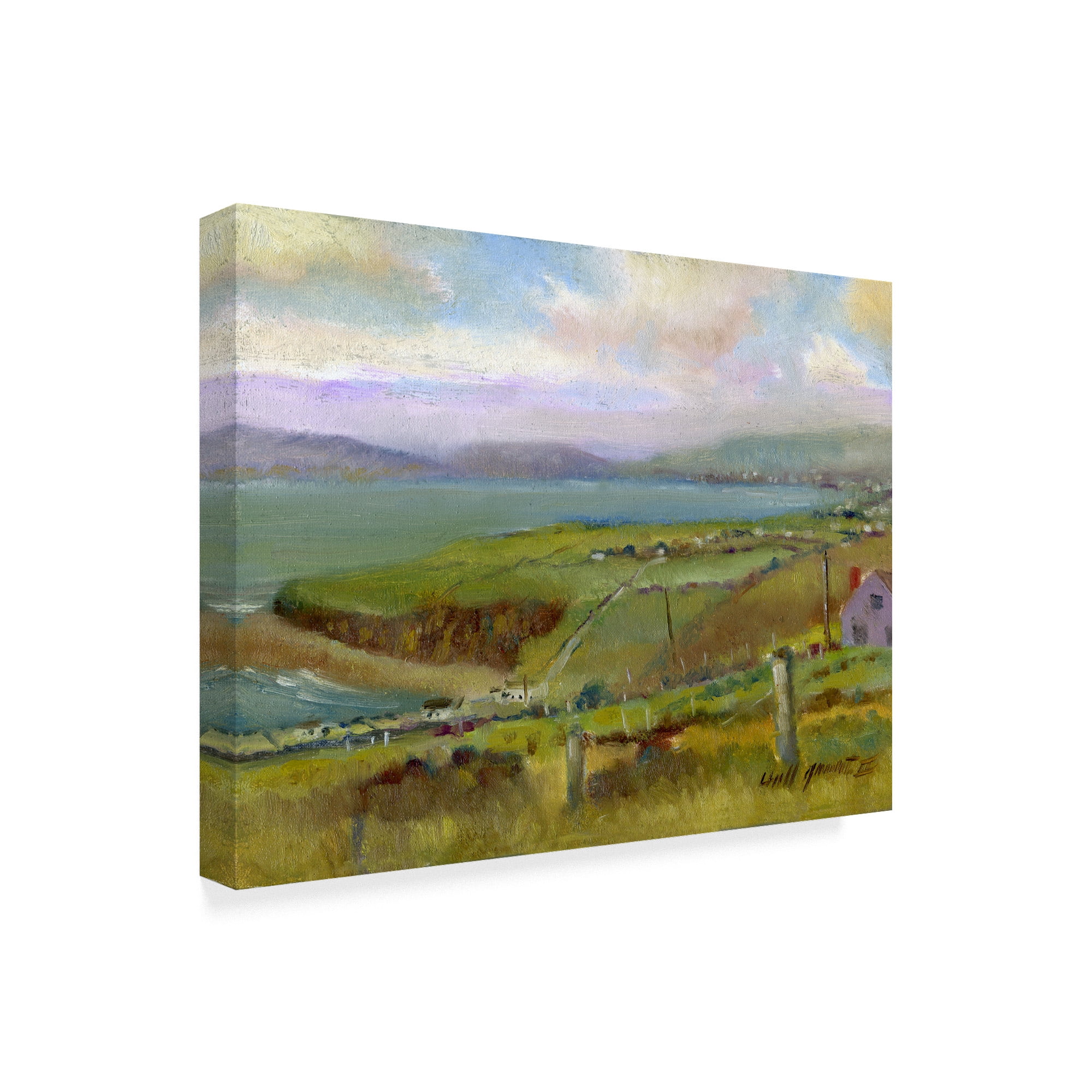 Trademark Fine Art 'Ring Of Kerry Morning' Canvas Art by Hall Groat Ii