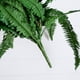 thumbnail image 3 of Helecho artificial de Boston casi natural de 48 cm con 67 hojas, 3 of 4
