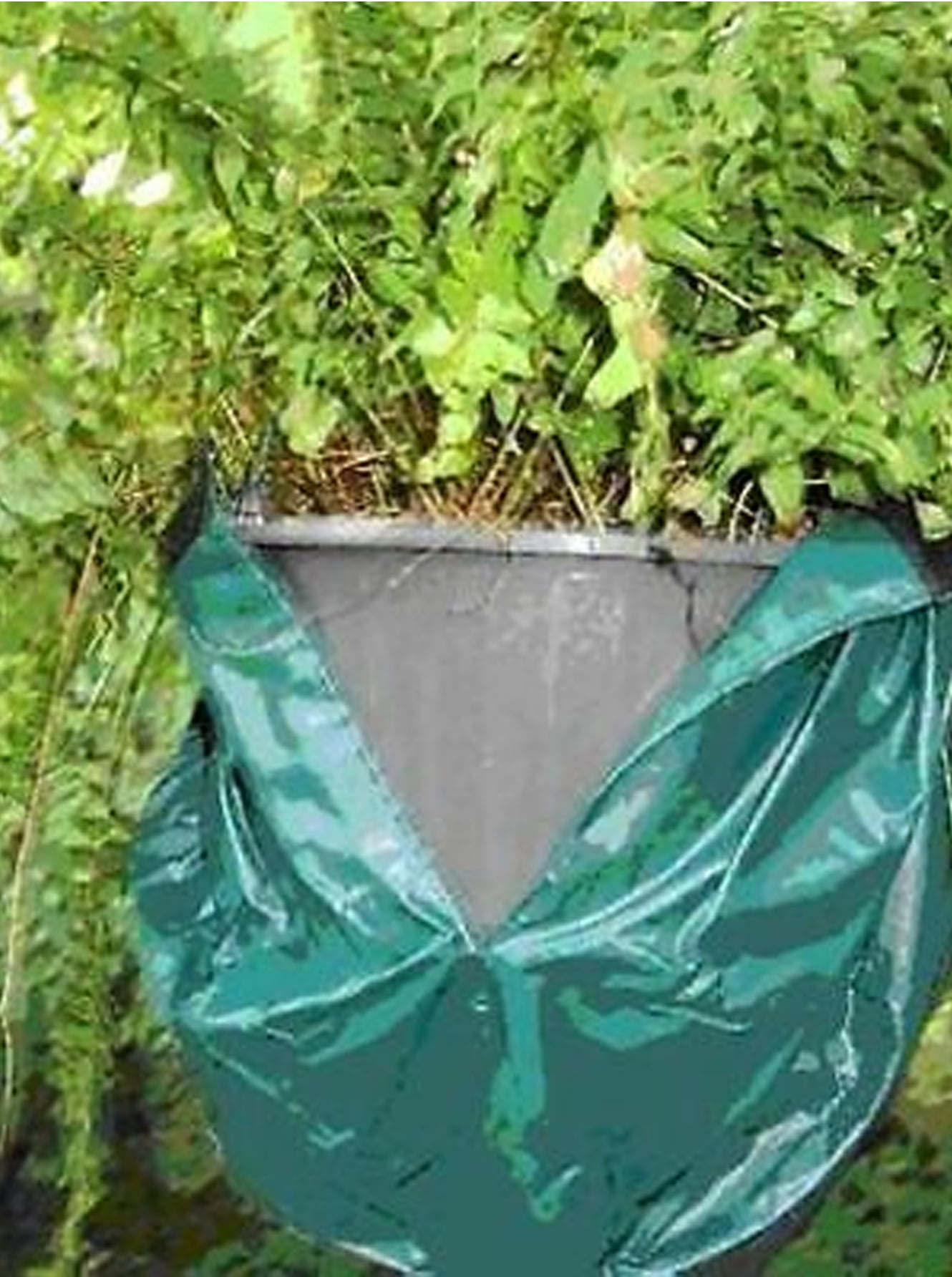 Monkey Bags The Monkey Pot Cover (Green) Green