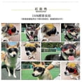 thumbnail image 5 of Dog Goggles Small Breed, Easy Wear,adjustable Uv/wind/dust/fog Protection, 5 of 5
