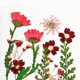 thumbnail image 5 of 13 plantas con flores secas para envoltorios de regalo, accesorios de arte y joyería de resina epoxi. rojo, 5 of 9