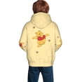 thumbnail image 2 of Winnie The Pooh Hoodie for Boys and Girls 3D Print Pullover Novelty Hooded Sweatshirt Hoodies with Big Pockets(Small), 2 of 7