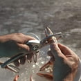 thumbnail image 6 of Toadfish Crab Leg Cracker Tool - Seafood Shell Cracking Tool - Stainless Steel Serrated Cutter - Ergonomic Non-Slip Grip - Built-In Bottle Opener Outfitters, 6 of 7