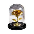 thumbnail image 2 of Eternal Rose, Valentines Day Gifts For Her, Forever Flowers, Glass Rose, Led Rose Glass Covered Gold Foil Rose Ornament Eternal Flower Creatives Holiday Gift Luminous LED Night Light, 2 of 6