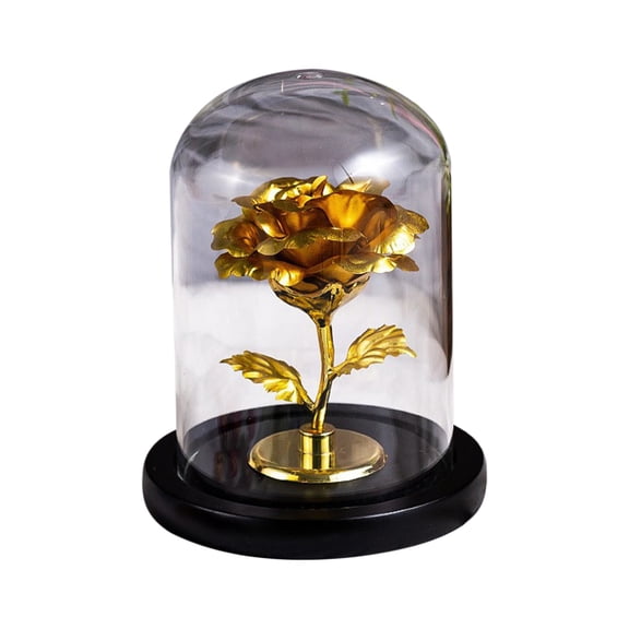 Forever Preserved Rose Display Dome, Valentine's Day Decorative Rose Gifts for Women Mom Wife Girlfriend (Gold)