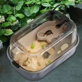 thumbnail image 6 of TOOYFUL Turtle Aquarium Reptiles Turtle Detachable Easy to Change Water Turtle Habitat Turtle Tank for Terrapin Turtle Tortoise Amphibians Gray, 6 of 10