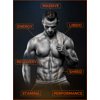 Dominance Testosterone Booster for Men - Libido & Performance