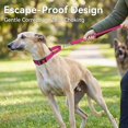 thumbnail image 3 of Collar para perro Joytale Martingale M rosa intenso a prueba de escape, 3 of 6