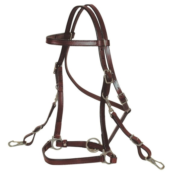 Circle Y 3/4" Trail Halter Bridle, Brown, Full
