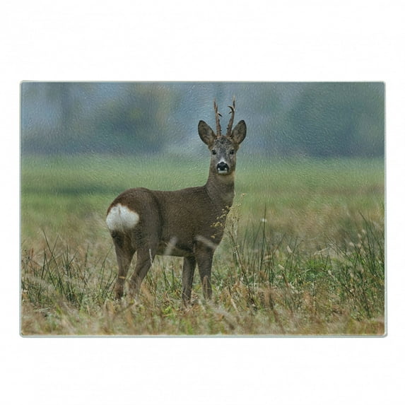 Hunting Cutting Board, Roe Deer Male Capreolus Western European Wildlife Fauna Flora Meadow Field Grass, Decorative Tempered Glass Cutting and Serving Board, Small Size, Multicolor, by Ambesonne
