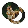thumbnail image 2 of Naloa Squirrels Eating Peanuts On The Tree Round Bar Stool Cushion Cover 12-14 inch, Fits Kitchen, Office, Restaurant Chairs - {sizeName}14 inch, 2 of 7