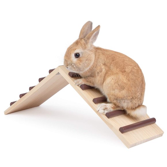 Niteangel Wooden Cage Bridge for Rabbits Guinea Pigs and Chinchilla Large Size