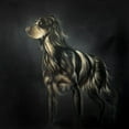 thumbnail image 2 of Atelier B Art Studio 26x26 Black Ornate Wood Framed with Double Matting Museum Art Print Titled - PICARD SPANIEL, 2 of 4