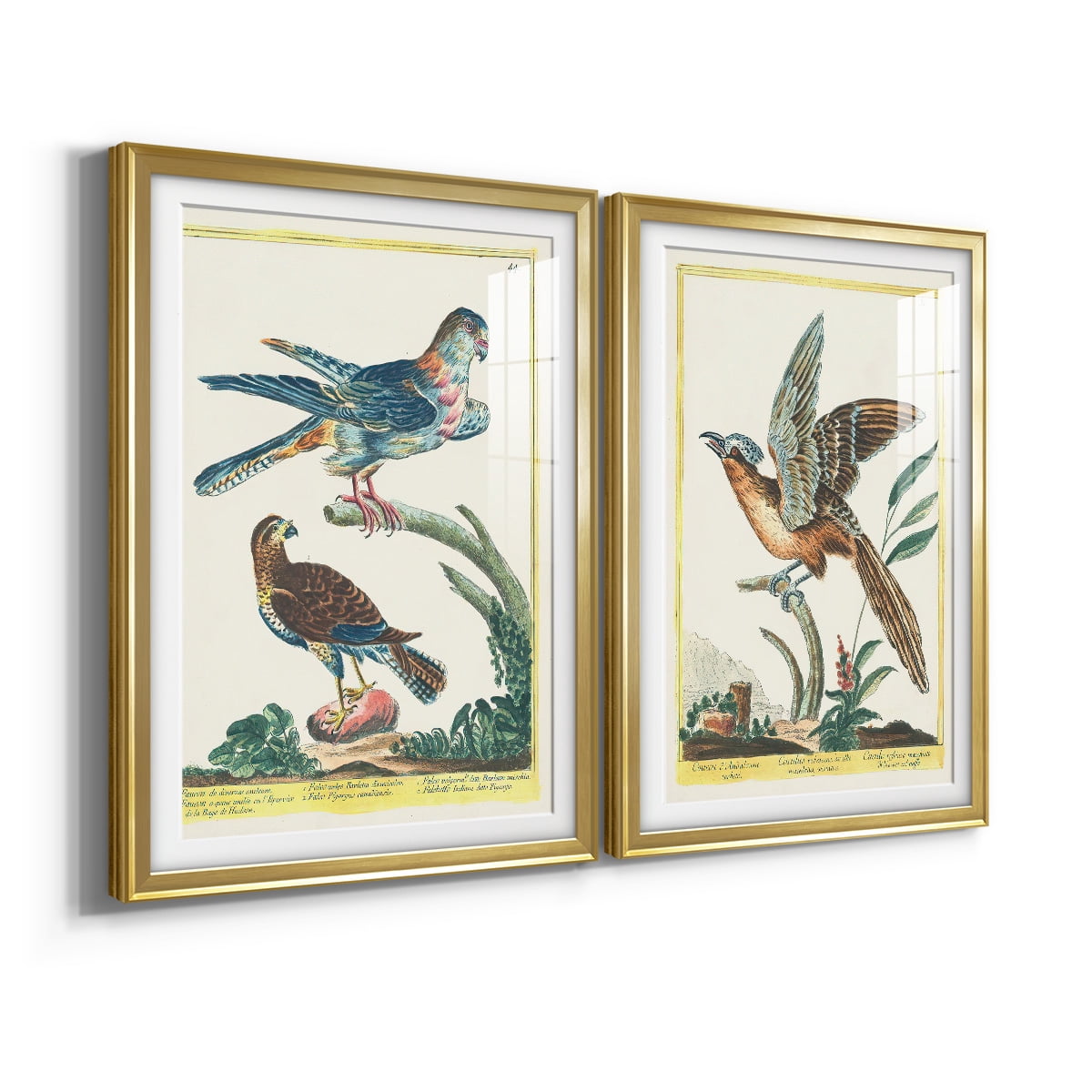 Wexford Home Pastel Birds V Premium Framed Print, 22.5" x 30.5" - Ready to Hang, Gold (Set of 2)