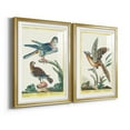 thumbnail image 2 of Wexford Home Pastel Birds III Premium Framed Print, 30.5" x 42.5" - Ready to Hang, Gold (Set of 2), 2 of 9