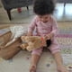 thumbnail image 5 of 2024 Robot Dog Toys Interactive Electronic Plush Puppy Sound Control Teddy Walk Bark With Music Touching Control Robotic Animal Pet, 5 of 5