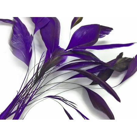 1 Dozen - Eggplant Stripped Coque Tail Feathers