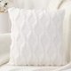 thumbnail image 1 of Juego de 2 fundas de almohada decorativas de terciopelo de lana corta de felpa suave de 18x18 pulgadas, funda de cojín de estilo de lujo cuadrada beige, funda de almohada para sofá dormitori, 1 of 5