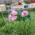 thumbnail image 2 of 3 Pack Round Peony Cages and Supports Grow Through Grid Plant Brace,16.5 inch Height Plant Support Stake for Small Plant Flower Vegetable, 2 of 9